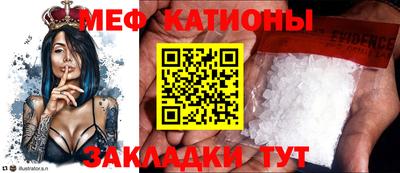 МДПВ Бийск