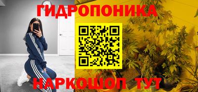 МДПВ Бийск
