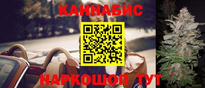 МДПВ Бийск