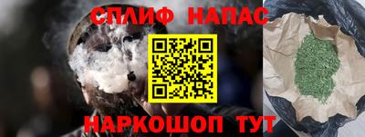 МДПВ Бийск