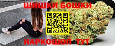МДПВ Бийск