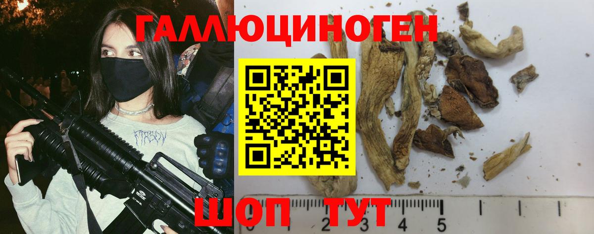 Зима  Галлюциногенные грибы Magic Shrooms  Вход с VPN 